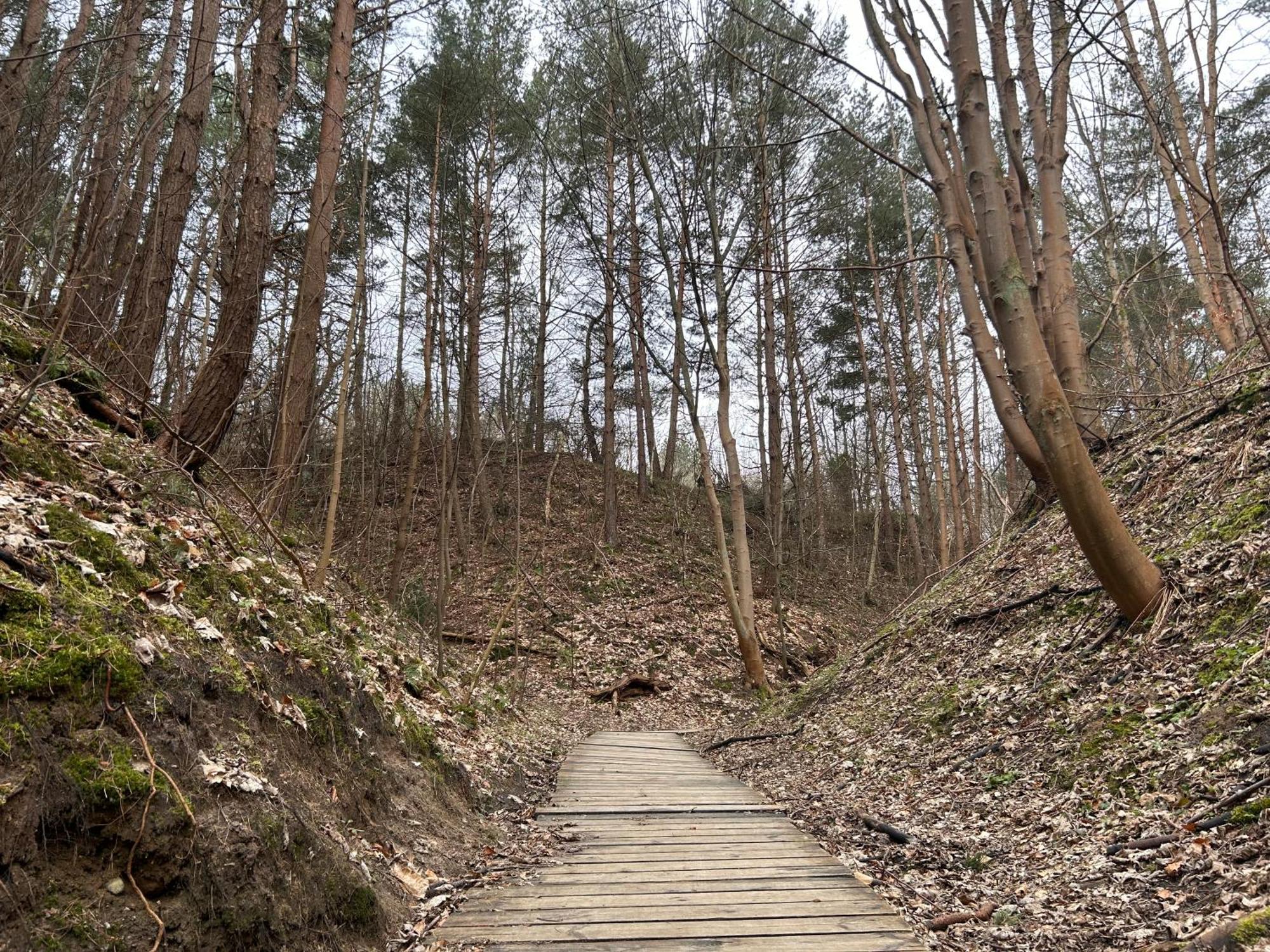 Resort Eden - Domki, Pokoje, Apartamenty Jastrzębia Góra Buitenkant foto